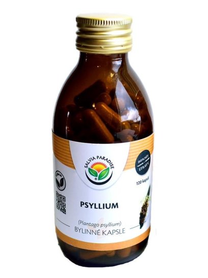 Psyllium kapsle 120 ks 