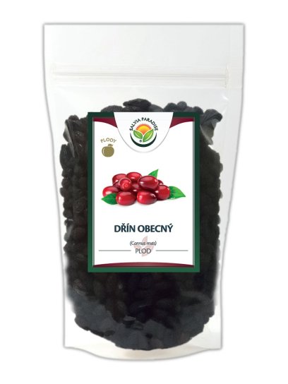 Dřín obecný plod 