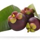 Garnicia - Garcinia cambogia