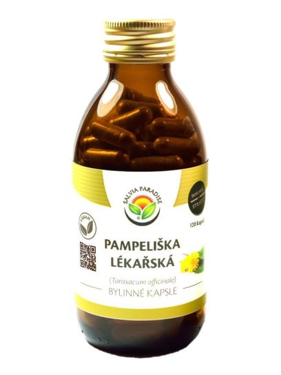 Pampeliška lékařská kapsle 120 ks 