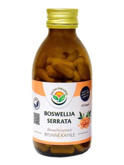 Boswellia serrata - kadidlovník kapsle 120 ks 