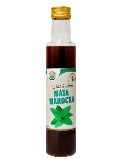 Máta marocká bylinný koncentrát 250 ml 